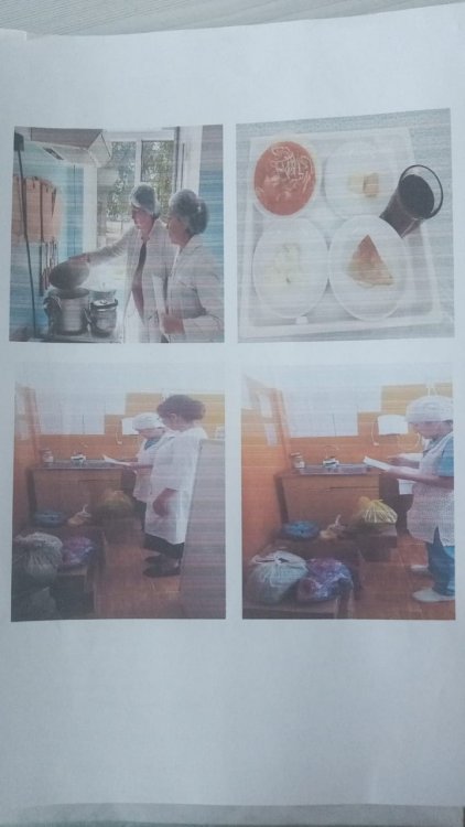 Тамақтану сапасына мониторинг жүргізу актісі
